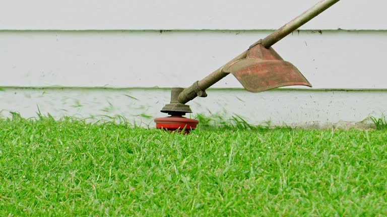 Organic Lawn Care Solutions in Maple Lake, MN